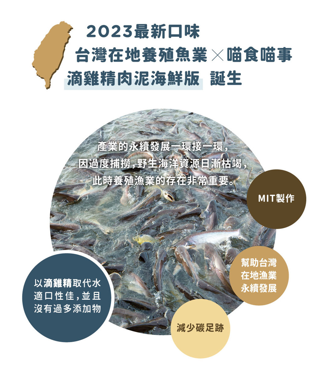 喵食喵事支持在地養殖漁業減少碳足跡以滴雞精取代水