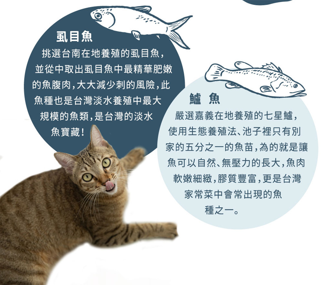 台灣虱目魚嘉義七星鱸軟嫩細緻膠質豐富