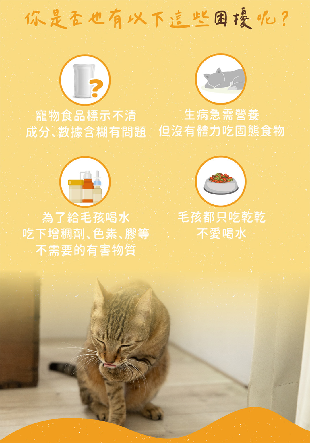 貓咪騙喝水生病貓需喝液態補充營養