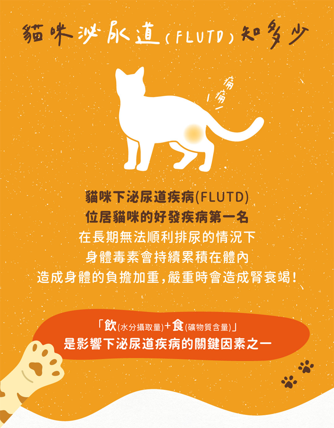 貓咪下泌尿道疾病位居貓咪好發疾病第一名