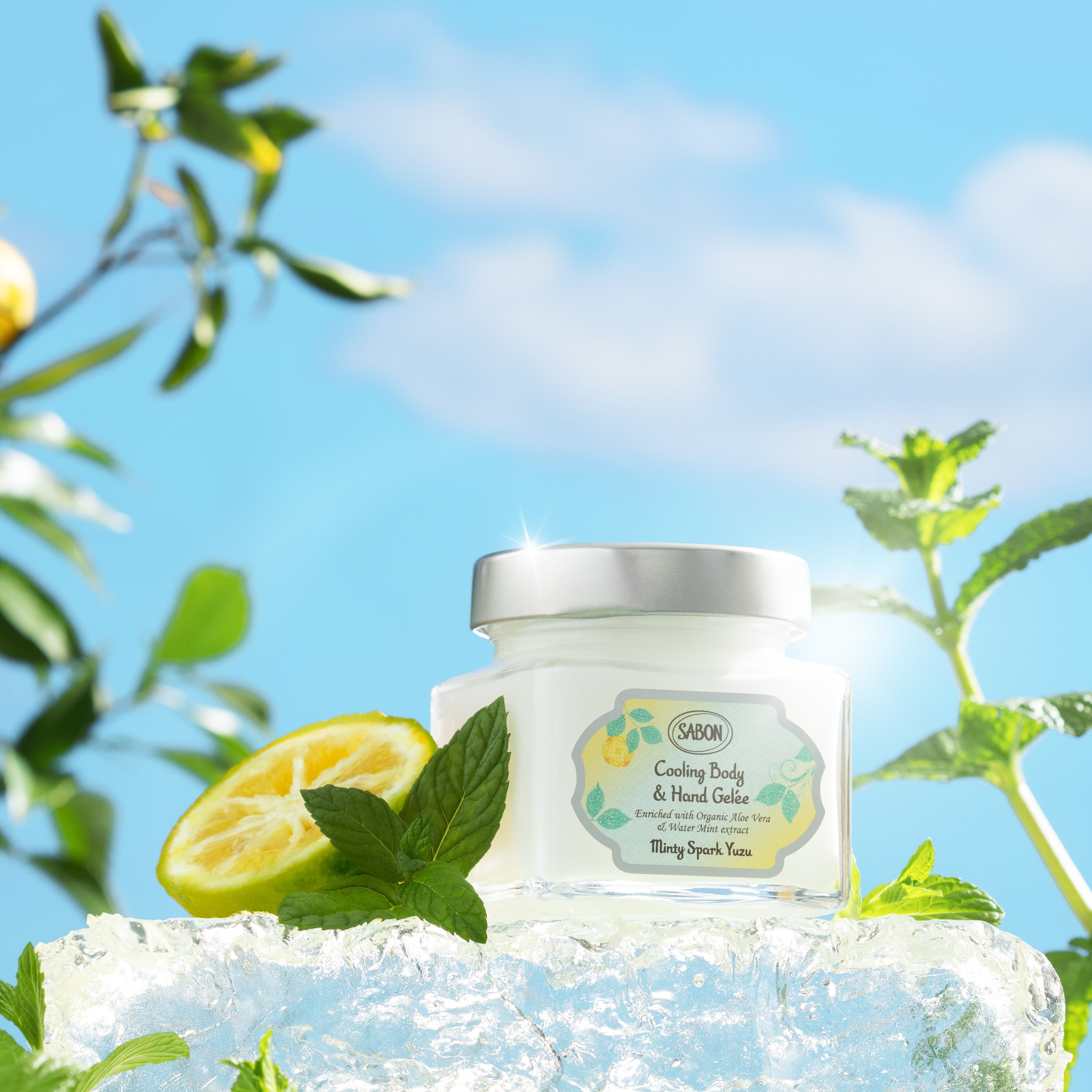 Cooling Body & Hand Gelée
