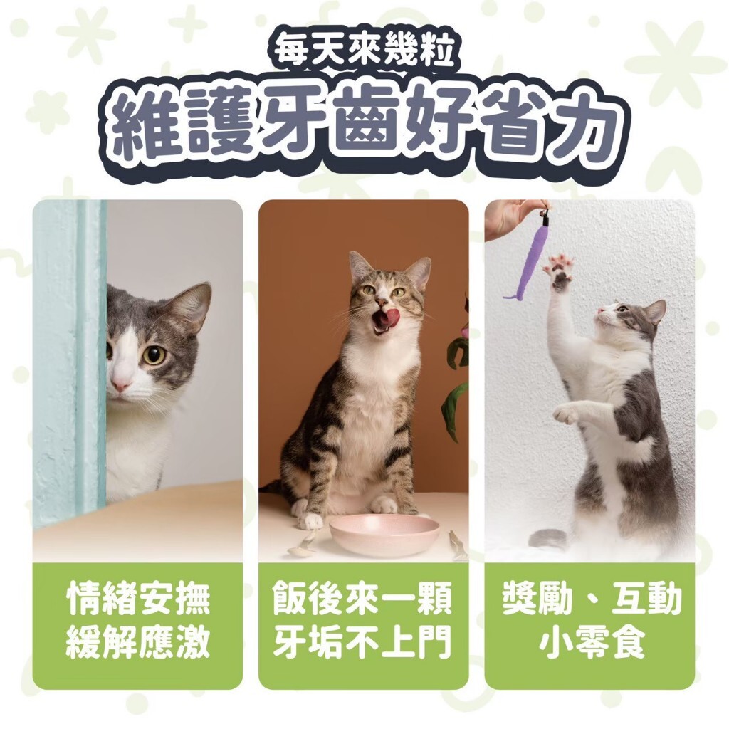 vosto 啵脆化毛潔牙餅60g 貓餅乾 潔牙餅 貓咪脆餅 貓咪潔牙 貓潔牙