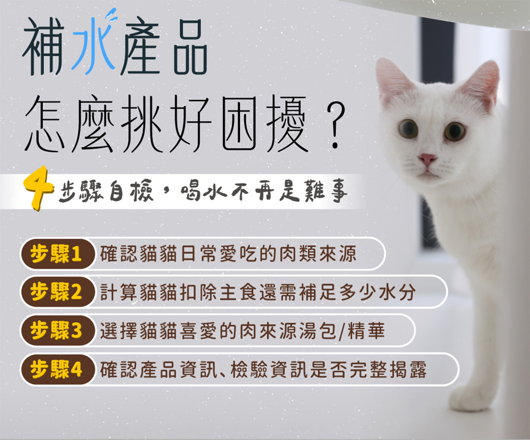 貓咪不喝水怎麼辦就挑喵食喵事寵物鱸魚精