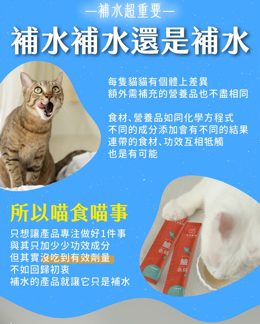 每隻貓有個體上差異讓保健品更純粹鱸魚精就是補水神器