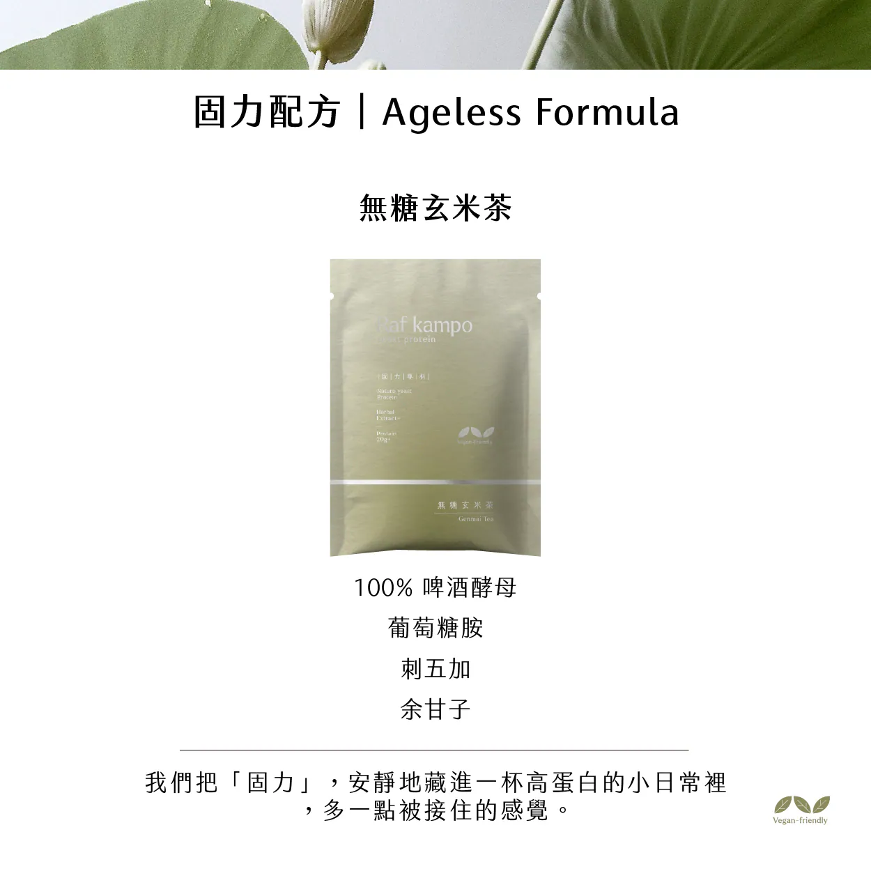 RAF KAMPO 蛋白粉【植物蛋白系列】無糖玄米茶