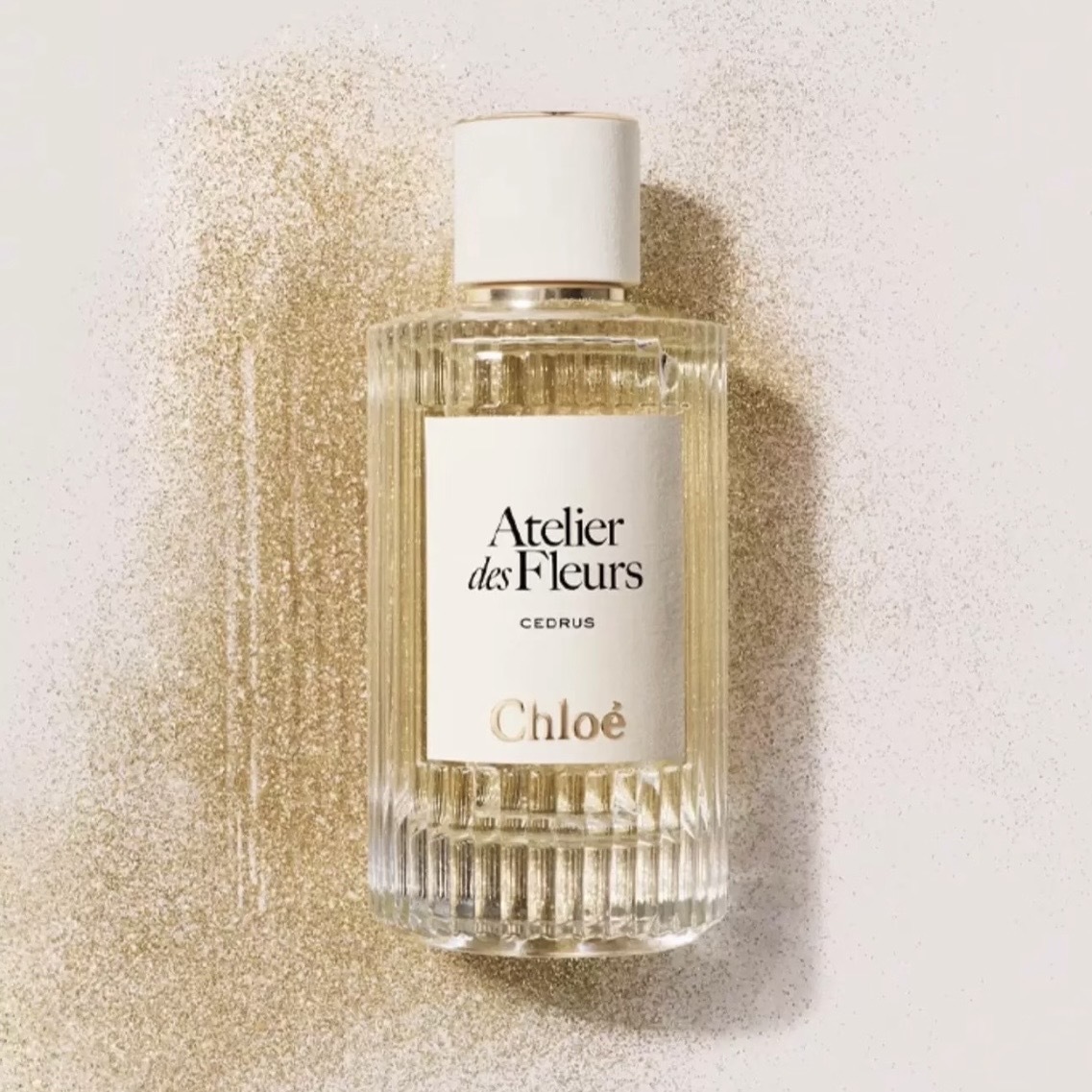 Chloe 仙境花園系列淡香精-北國雪松(新版) 150ml