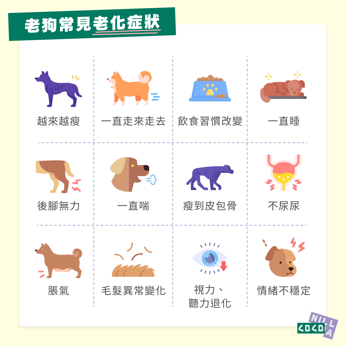 老狗常見老化症狀