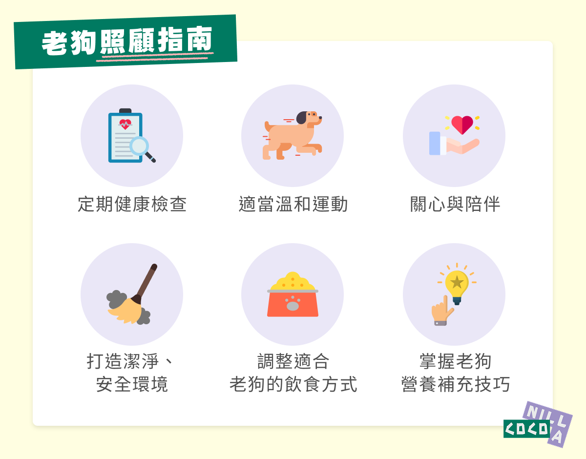 老狗照顧指南
