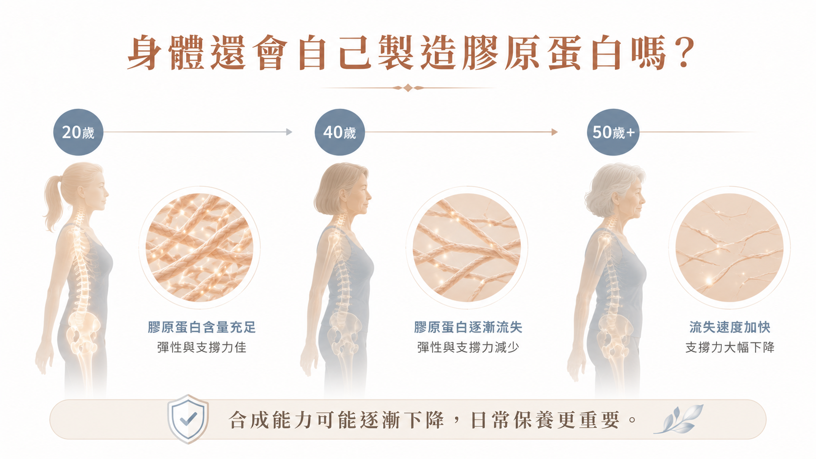 膠原蛋白合成