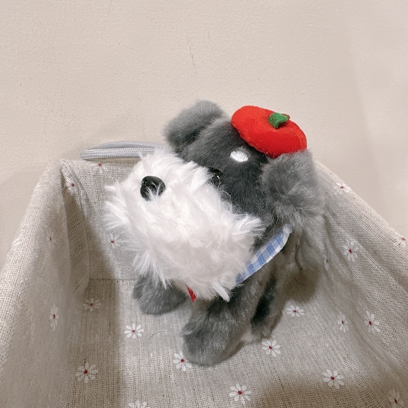《07023》戴蘋果帽的雪納瑞