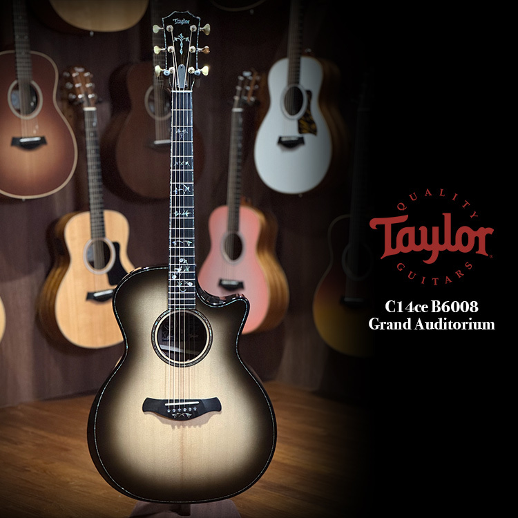 Taylor Custom C14ce B6008 Grand Auditorium - Lutz Spruce/Indian Rosewood