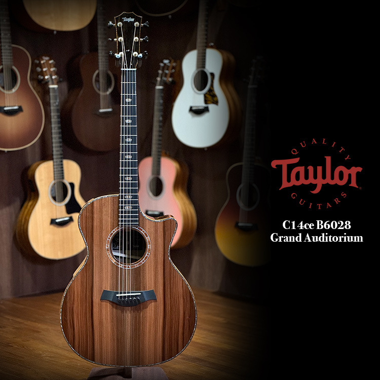 Taylor Custom C14ce B6028 Grand Auditorium - Sinker Redwood / Walnut