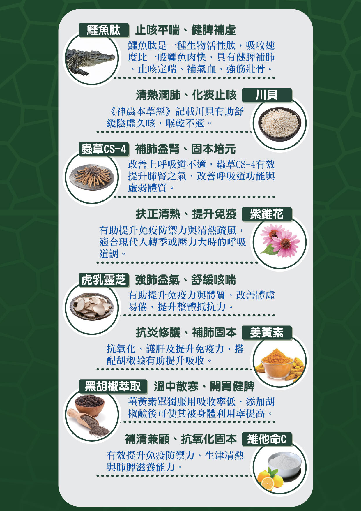 康麗寶 - 鱷補肺 (45粒)