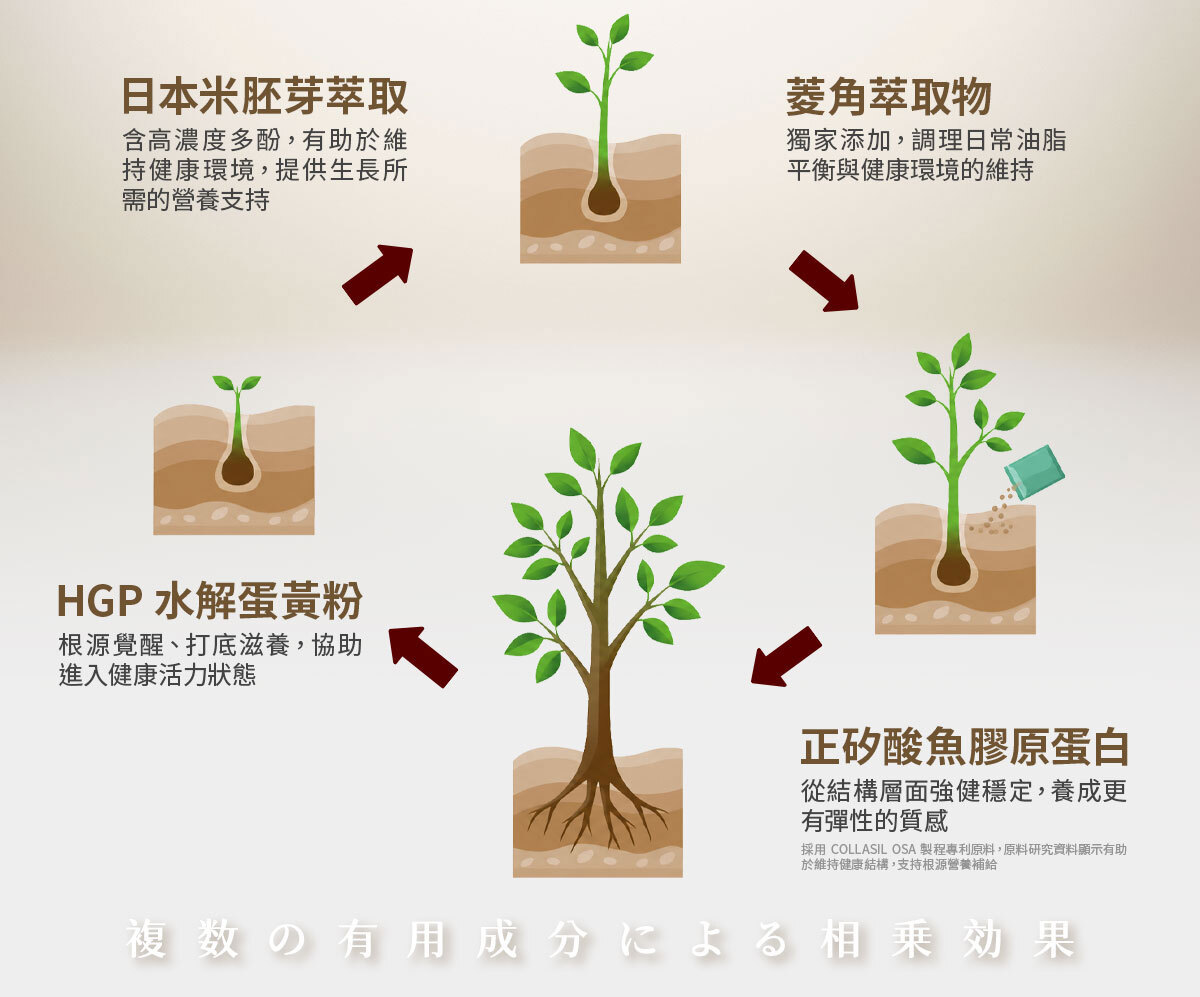 嚴萃生醫法活樂-12
