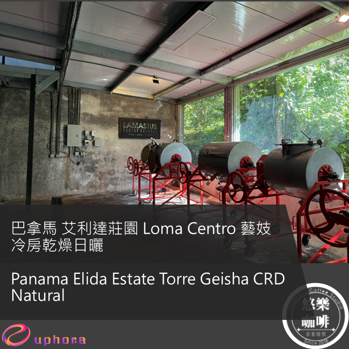 巴拿馬 艾利達莊園 Loma Centro 藝妓 冷房乾燥日曬
