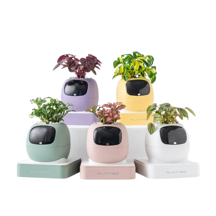 PLANTSIO Ivy Gen 2 Smart Planter