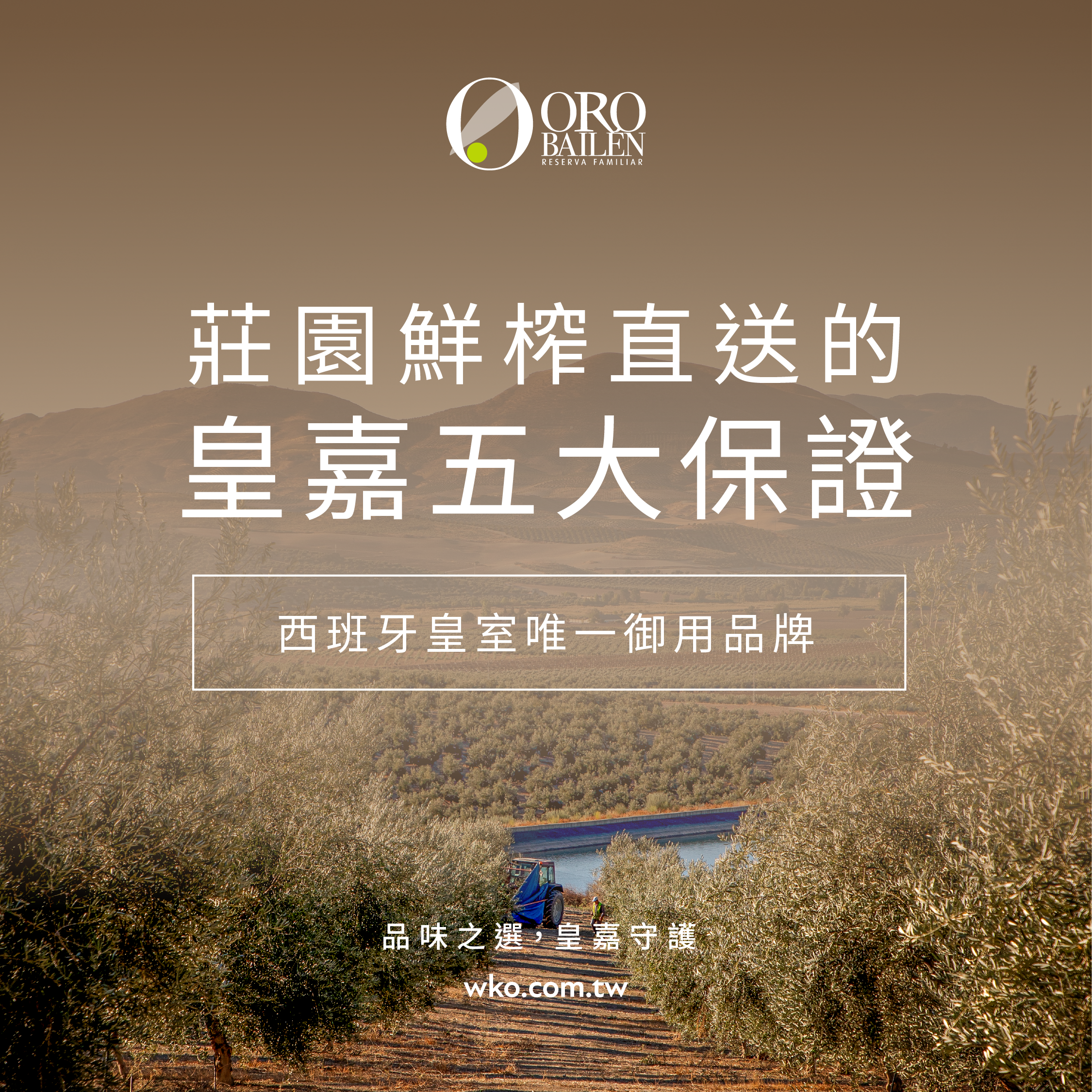 西班牙皇室唯一御用橄欖油品牌 皇家特級冷壓初榨橄欖油 五大新鮮保證