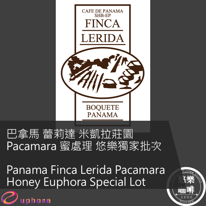 巴拿馬 蕾莉達 米凱拉莊園 Pacamara 蜜處理 悠樂獨家批次