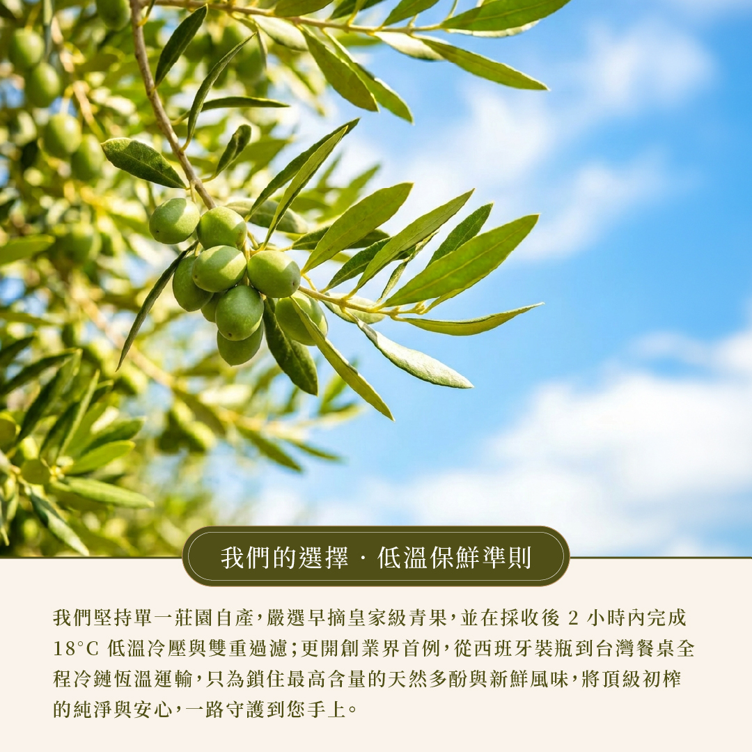 皇嘉特級冷壓初榨橄欖油 西班牙皇室唯一御用橄欖油