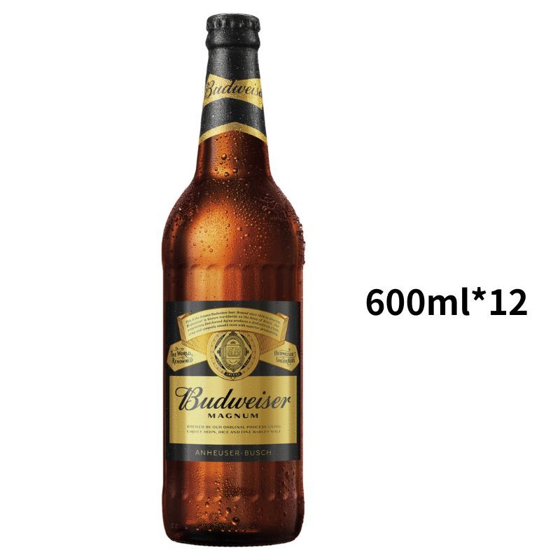 百威黑金｜大玻600ml｜一箱12入