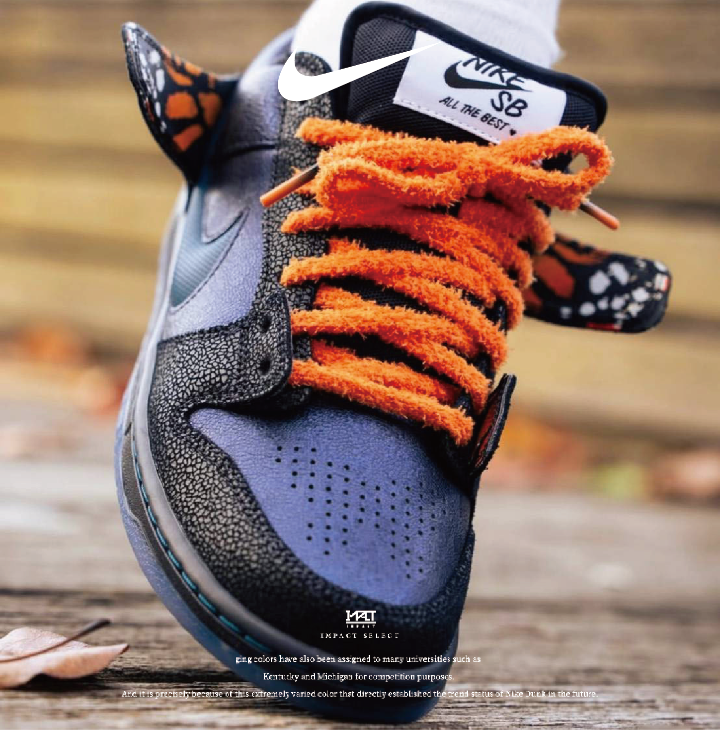 Nike x Bluetile Nike SB Dunk Low Pro "Monarch Butterfly" 帝王蝶 IQ1323-001