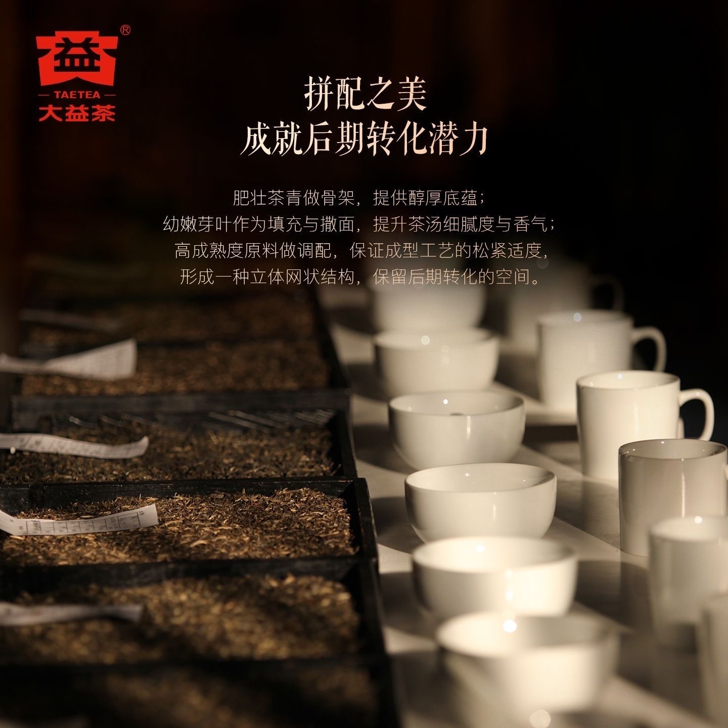 2026年大益普洱生茶7542 2601批150克茶餅
