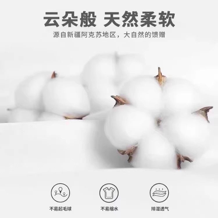 PREORDER 预购 星星人纯棉男童内裤儿童全棉 4件套