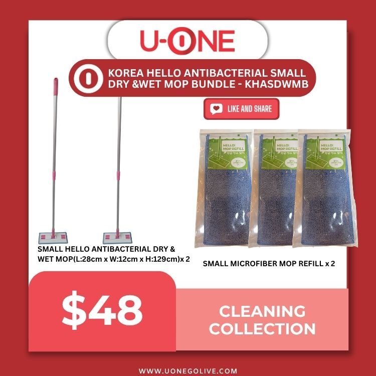 KOREA HELLO ANTIBACTERIAL SMALL DRY & WET MOP BUNDLE - KHASDWMB