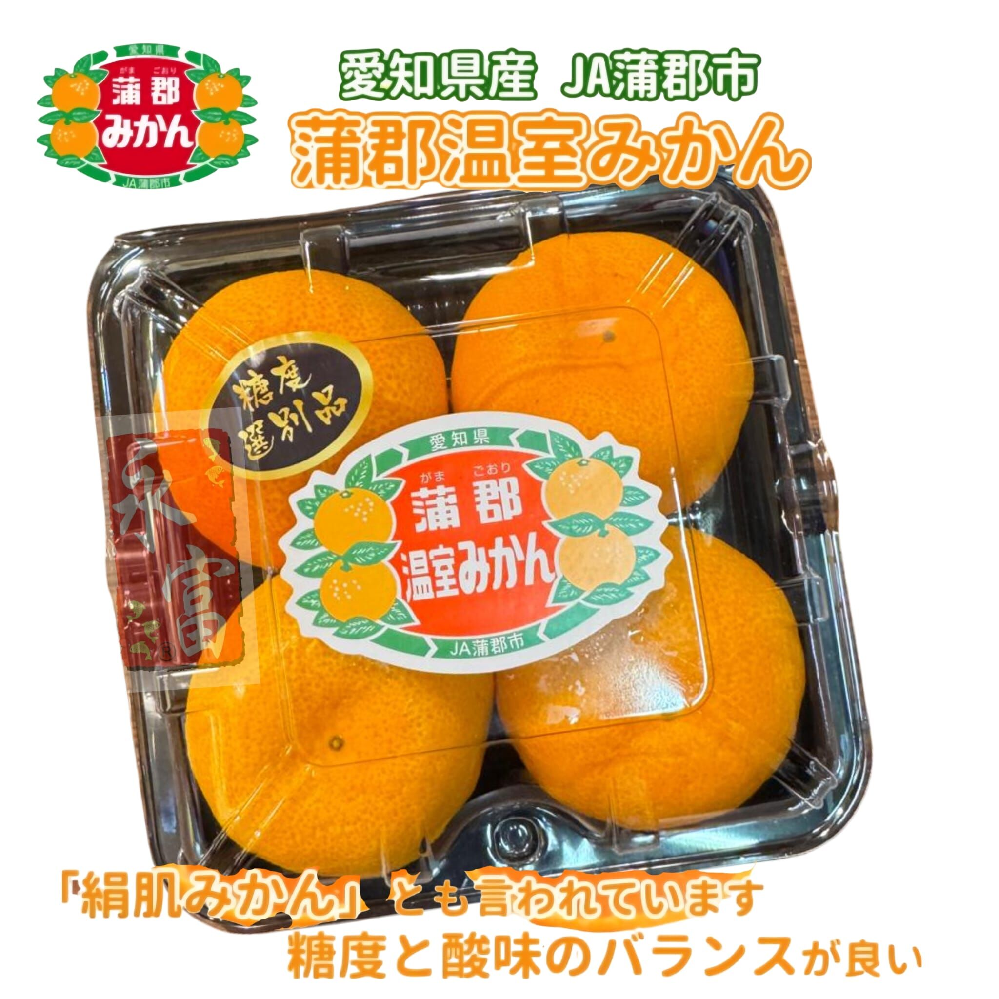 日本愛知縣蒲郡溫室蜜柑(4個)-1包