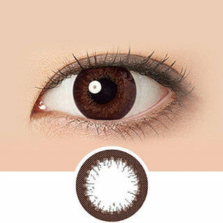 Alcon Freshlook CC 1 Day 星鑽啡 Rich Brown｜日拋彩妝隱形眼鏡｜每盒30片