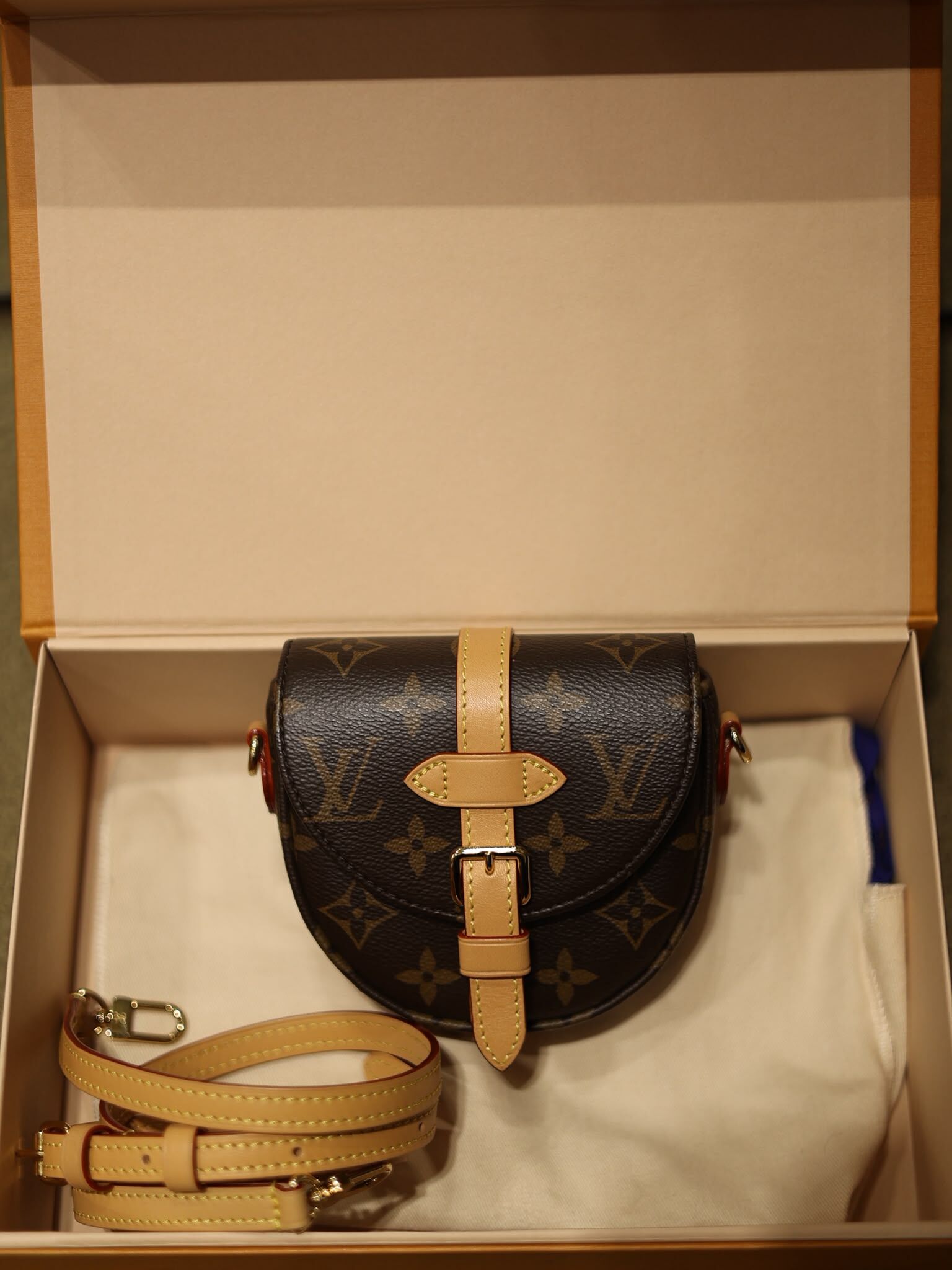 Louis Vuitton monogram micro chantilly 金扣 肩背袋 (二手99%new)