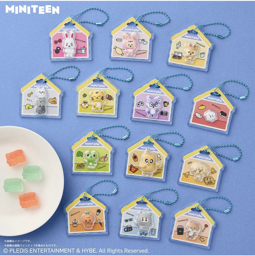 Seventeen miniteen 食玩