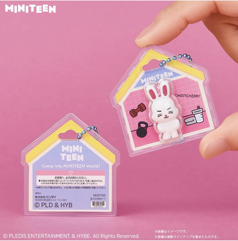 Seventeen miniteen 食玩