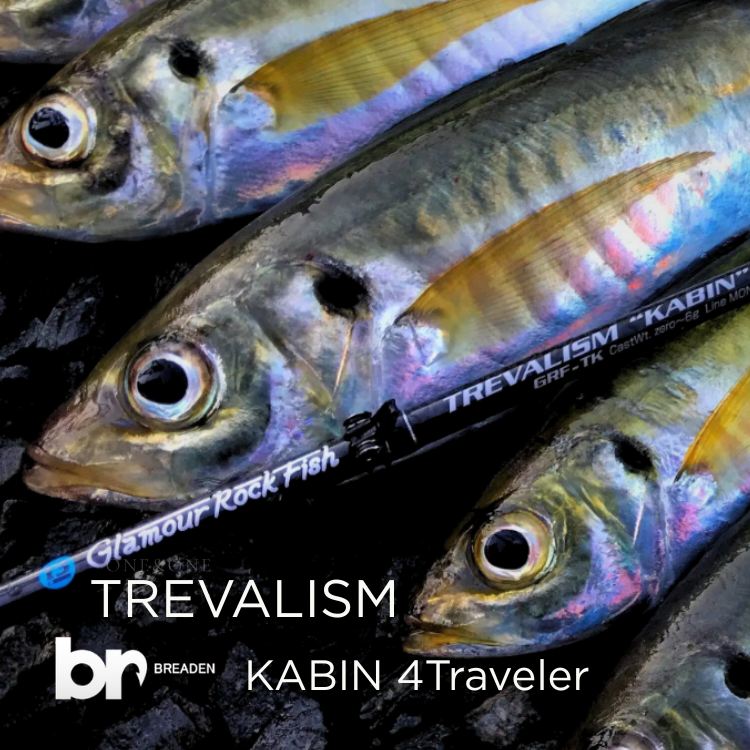 13 BREADEN TREVALISM KABIN 4Traveler