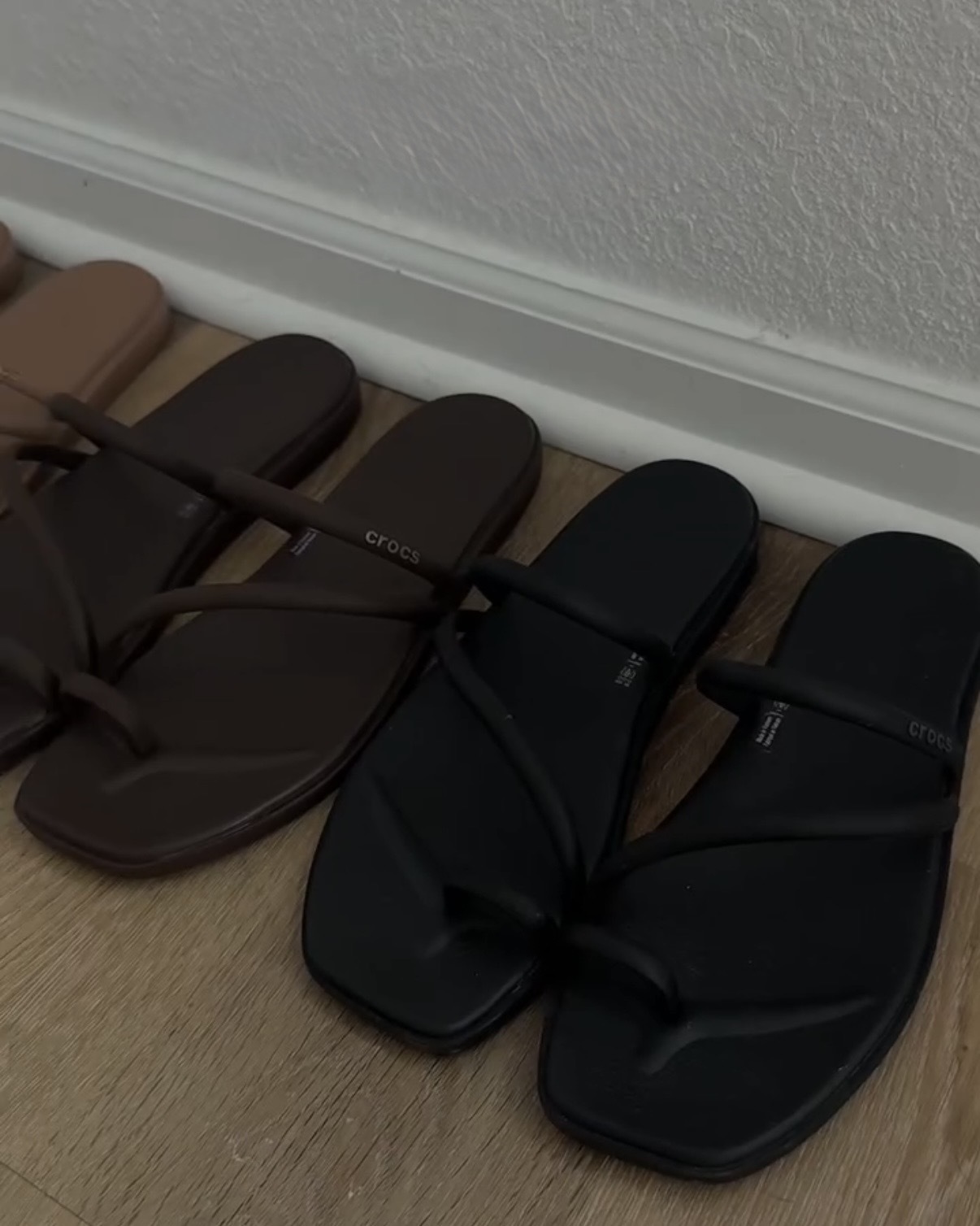 CROCS MIAMI TOE LOOP SANDAL 邁阿密 拖鞋 夾腳拖 指環涼鞋 防水 女鞋 209862 / 預購