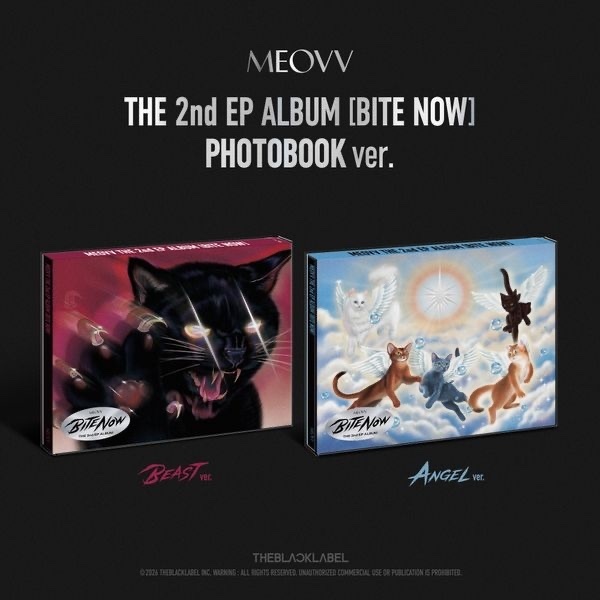 Meovv Bite Now Album ( random)