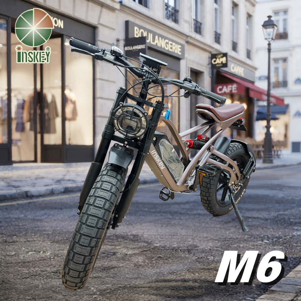 iNSKEY_英仕奇 M6 電動輔助車