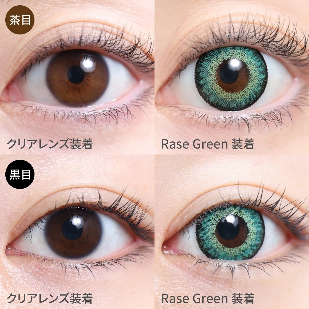 [日拋] TeAmo Edel 1 Day Rase Green 有色彩妝隱形眼鏡｜每盒10片