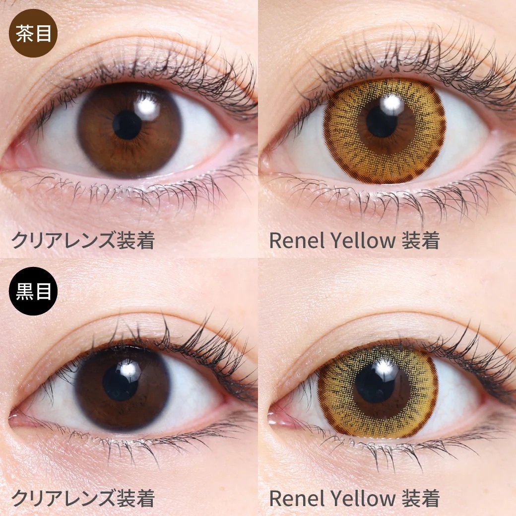 [月拋] TeAmo Edel 1 Month  Renel Yellow 有色彩妝隱形眼鏡｜每盒2片