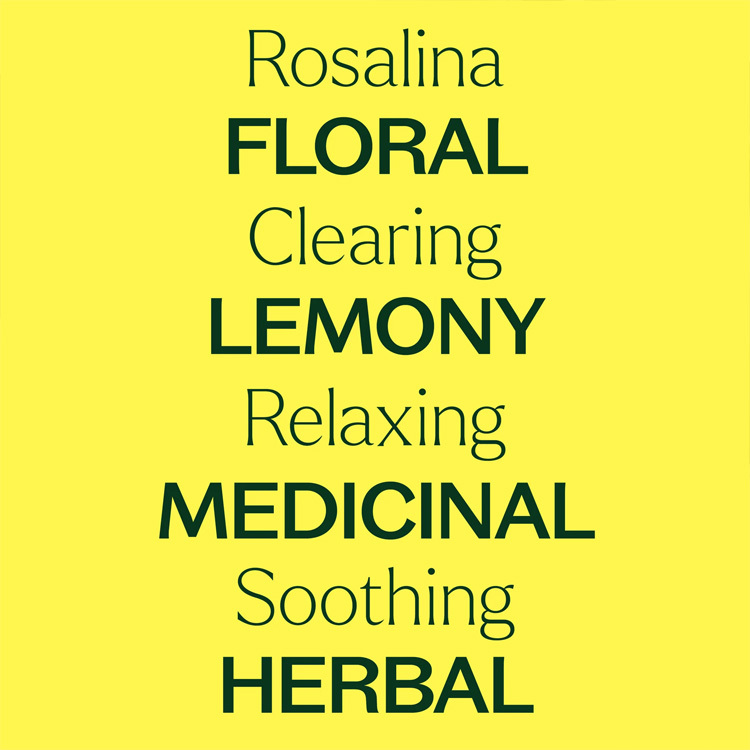 Plant Therapy 沼澤茶樹 Rosalina 精油（兒童安全）-10ml