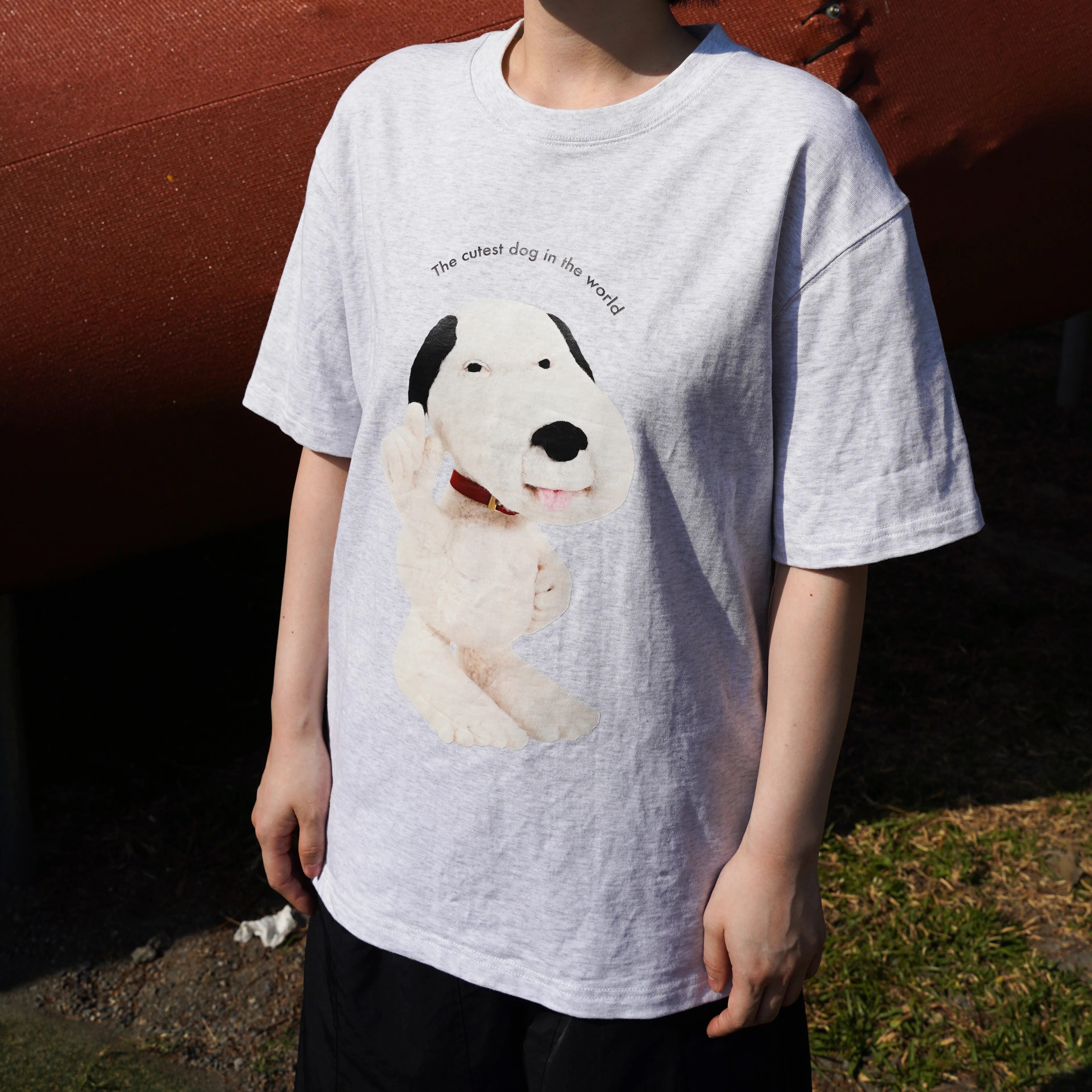 Anye tang 安爺堂 - Snoop Tee (Grey)
