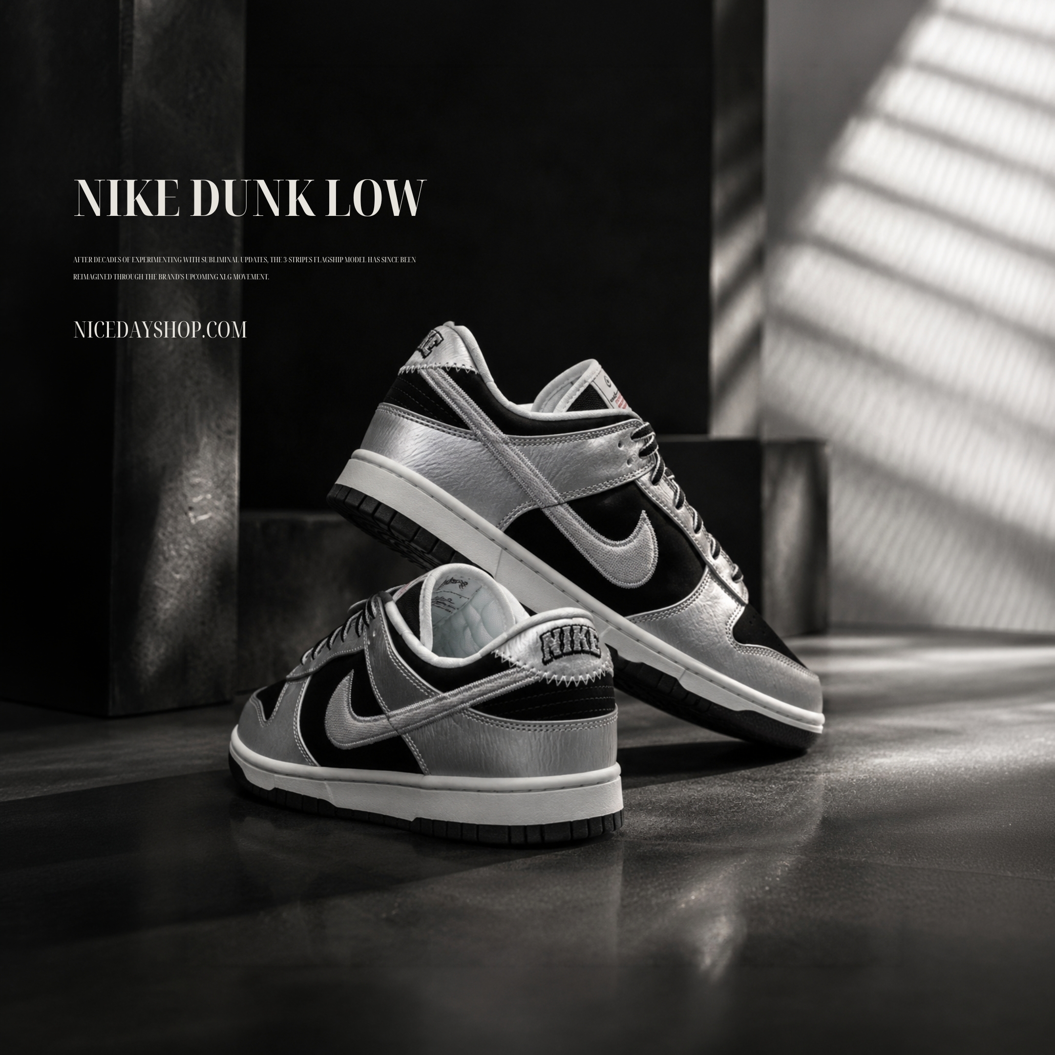 NICEDAY 代購 Nike Dunk Low 黑銀 銀黑 未來 科技 黑 反光 IM4413-001