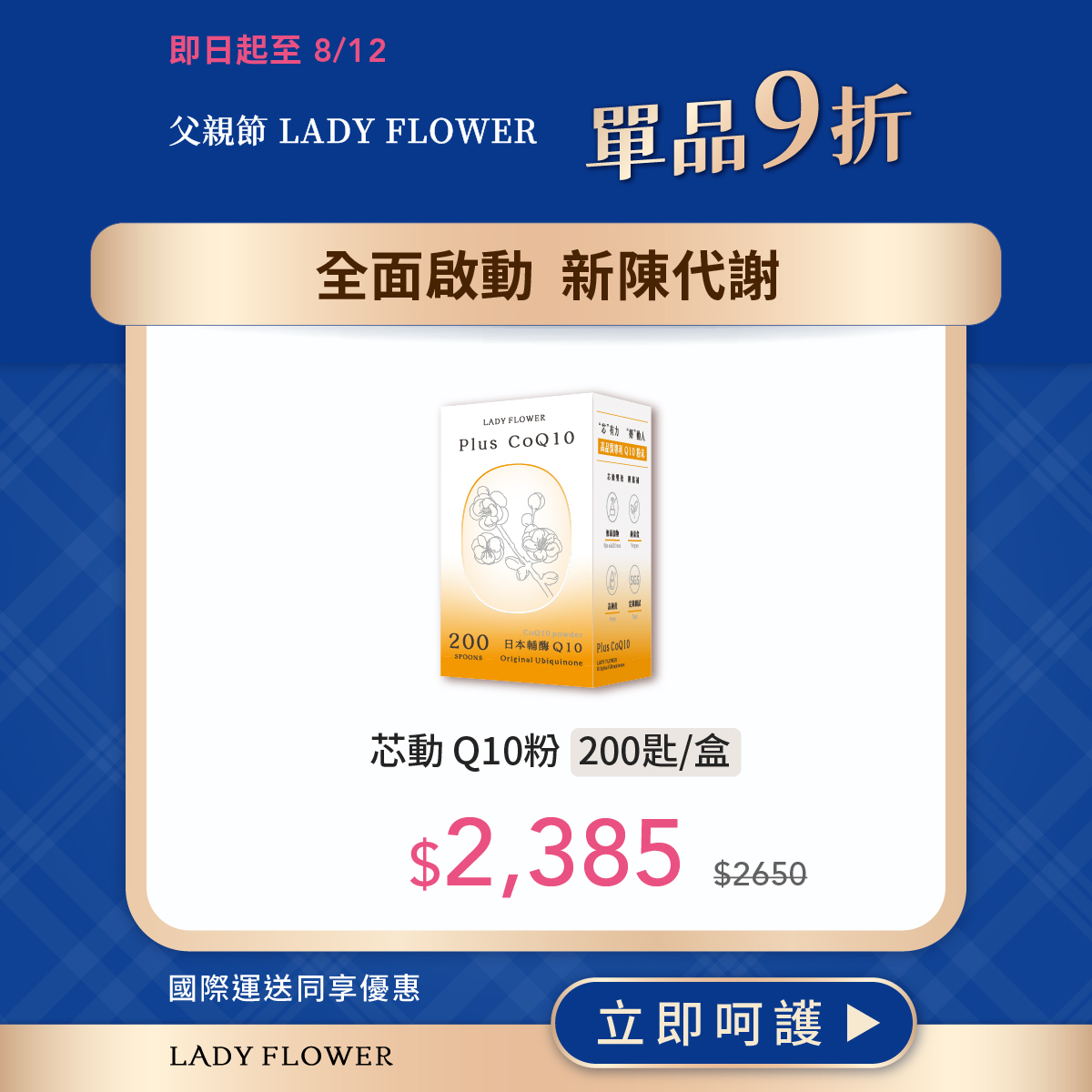 芯動 Q10｜國際運送