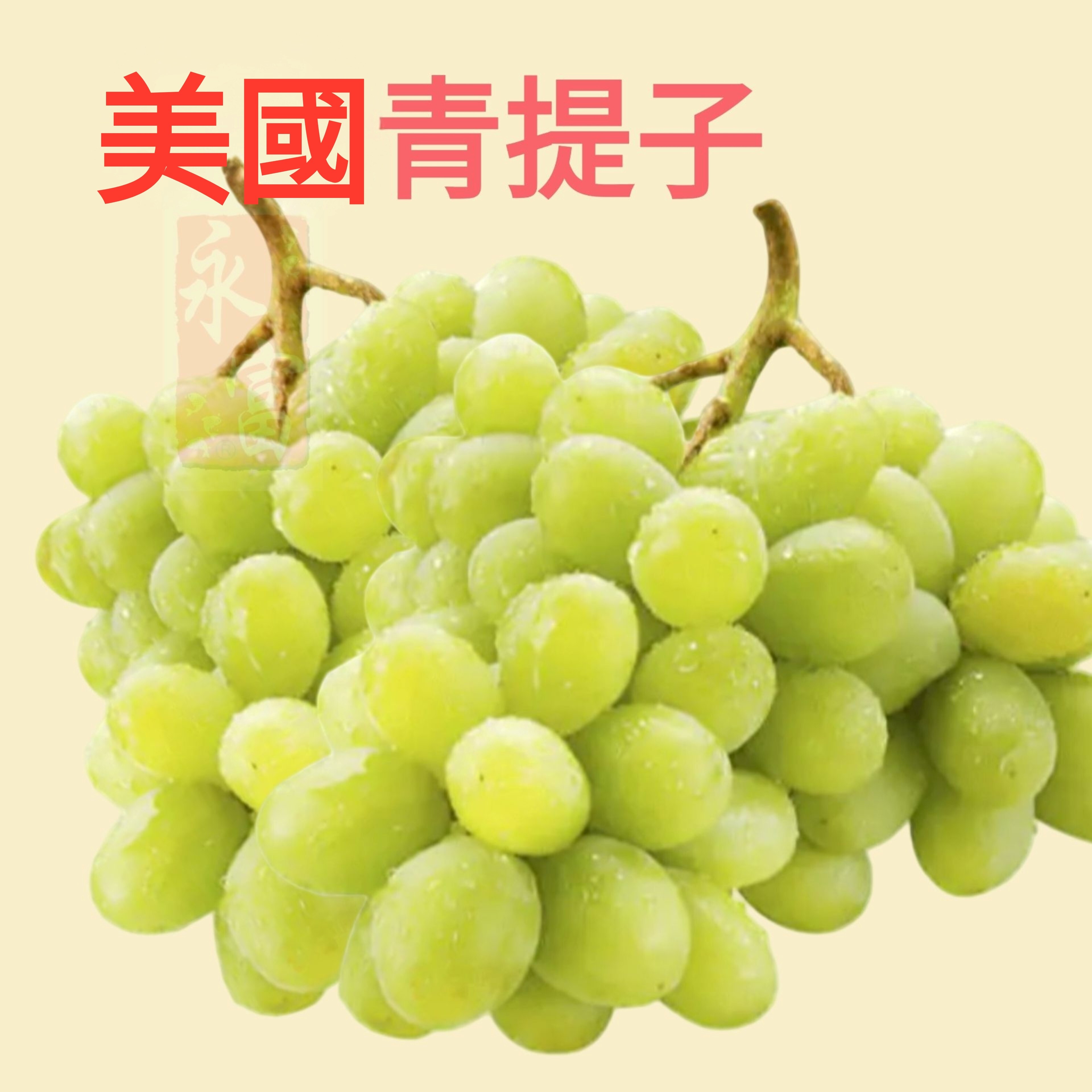 美國無核青提子(1磅)-1包