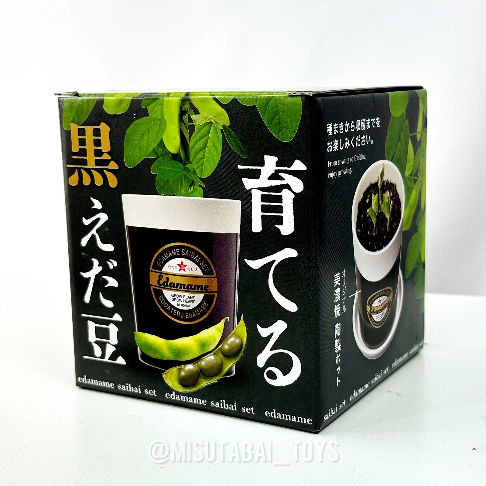 SeiShin GD-979 Black Edamame