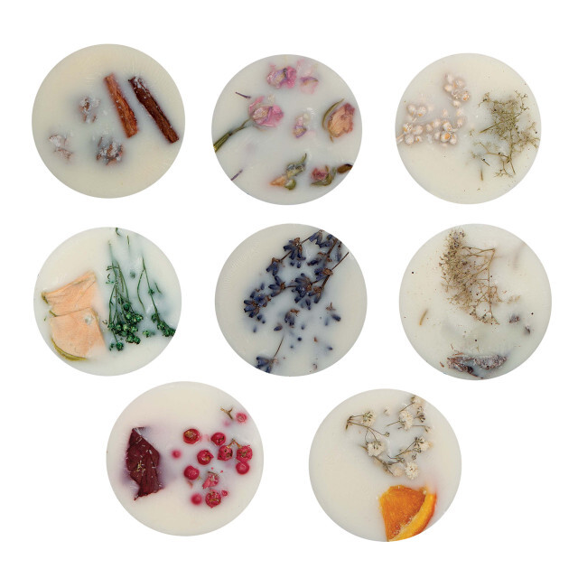 STONEGLOW Elements - Scented Botanical Soy Wax Melt Discovery Set of 8