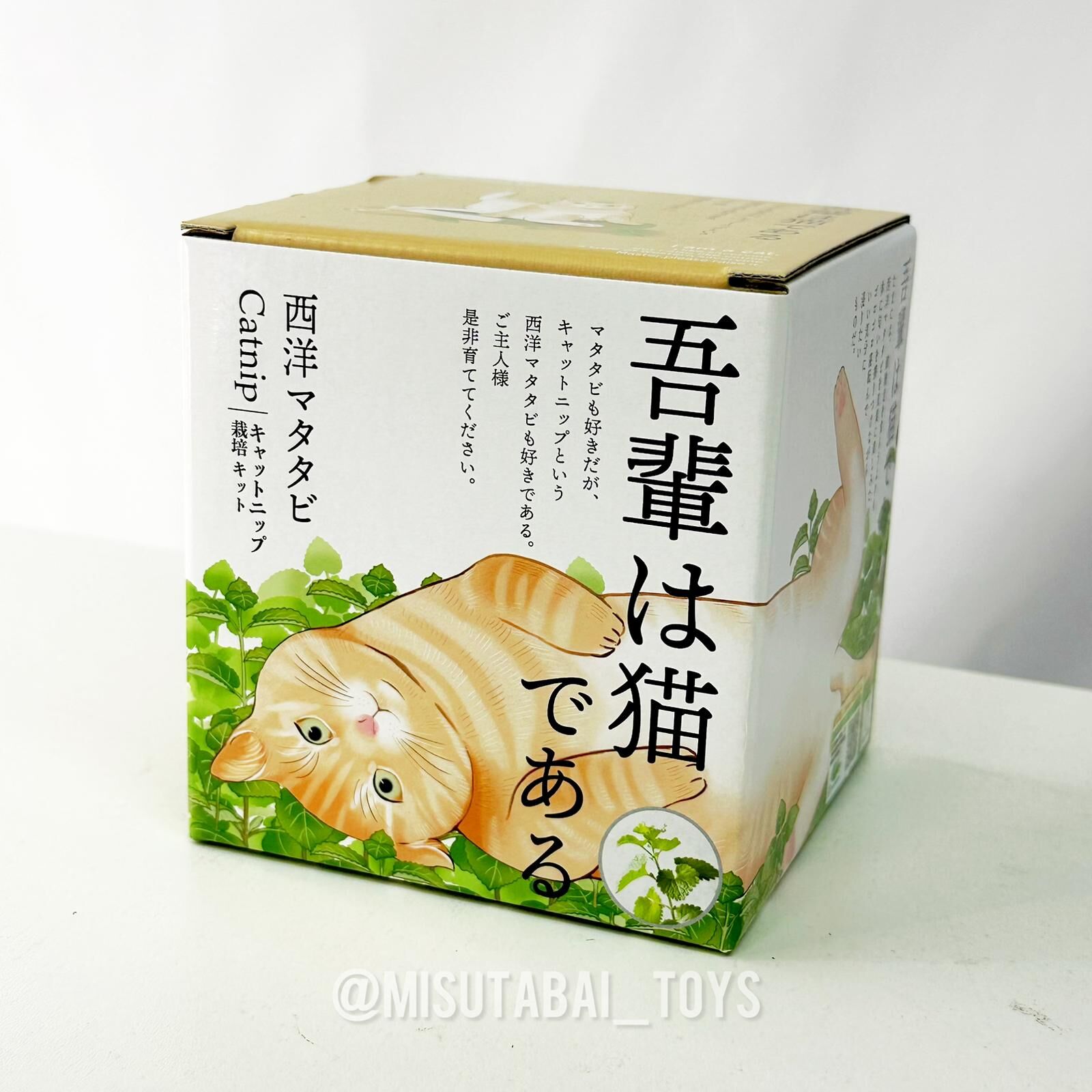 SeiShin GD-1027 Actinidia japonica cultivation kit