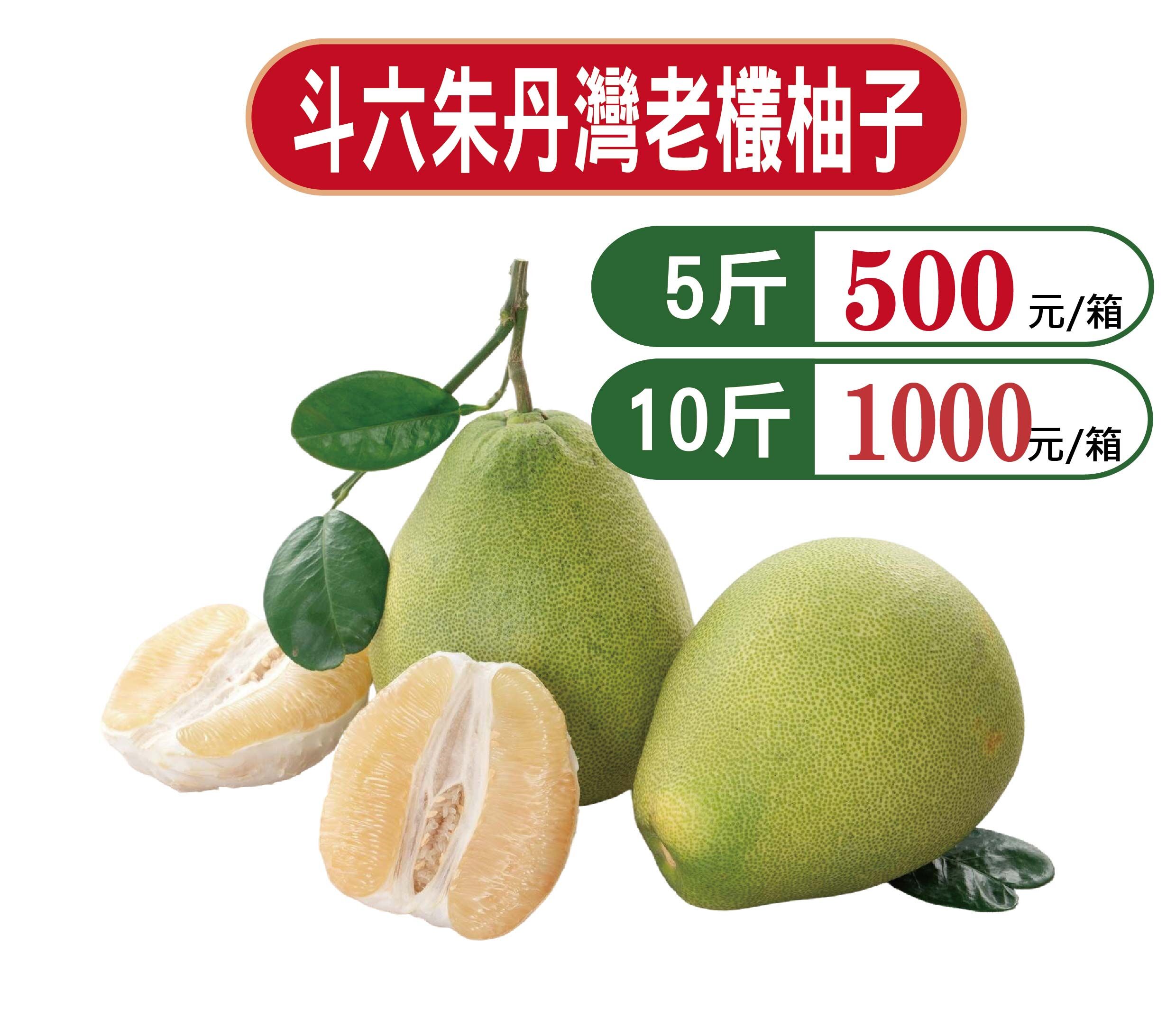 彰化分會｜朱丹灣文旦(預購)-9月入續出貨