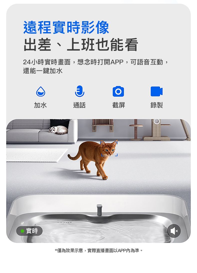 Petkit Eversweet Ultra AI鏡頭智能飲水機