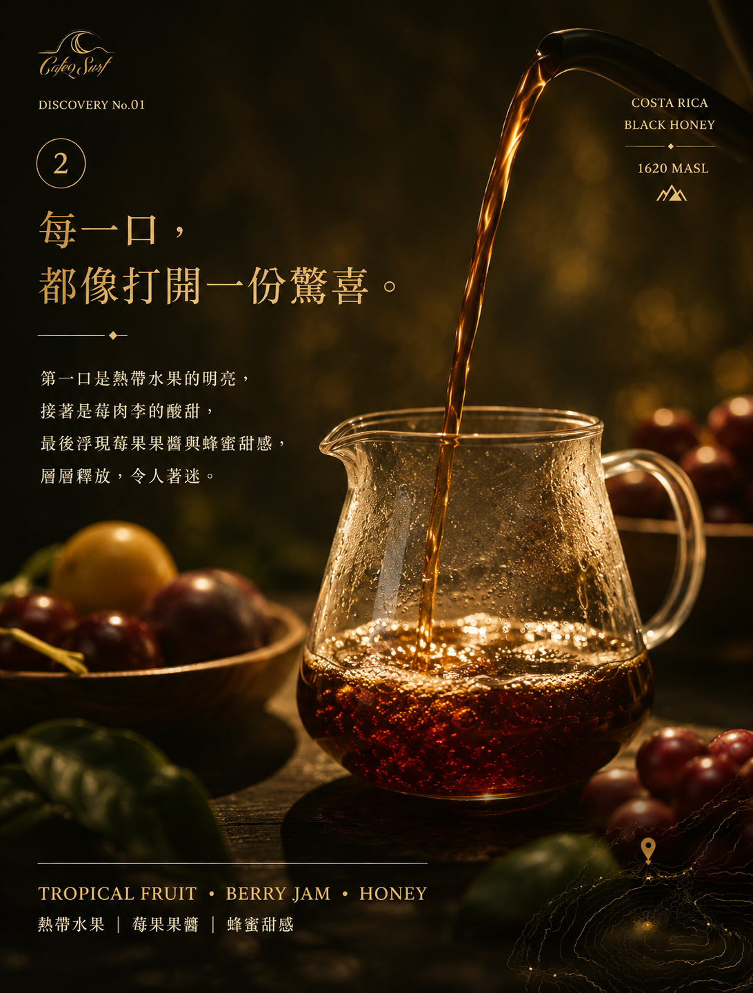 哥斯大黎加 布蘭卡 奇里波山谷 寶藏莊園 黑蜜｜咖啡豆 227g
